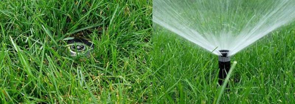 Une façon d'arroser automatiquement les plantes consiste à pulvériser de l'eau