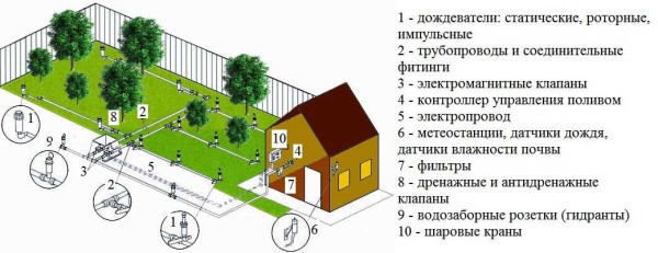Le système d'irrigation par aspersion convient à l'arrosage d'une pelouse ou de petites plantations - jusqu'à 10-15 cm