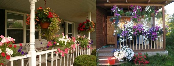 Une façon traditionnelle mais mignonne de décorer une terrasse d'été ouverte avec des pots suspendus de plantes à fleurs