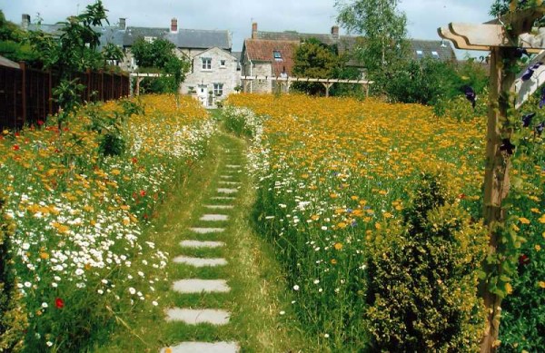La pelouse du pré est très décorative