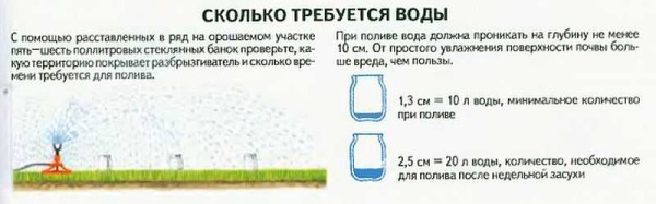 Comment vérifier la quantité d'eau que votre herbe reçoit