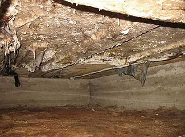 Vous pouvez vous débarrasser de ce mal avec un dissolvant de mousse polyuréthane