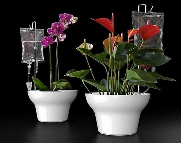Hydrater constamment vos fleurs sur le balcon? Facile!