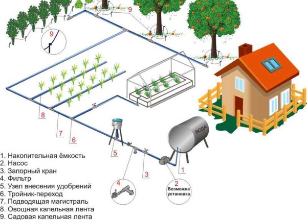 Système d'irrigation goutte à goutte avec une pompe pour augmenter la pression