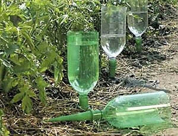 Comment faire de l'irrigation goutte à goutte dans le pays à partir de bouteilles