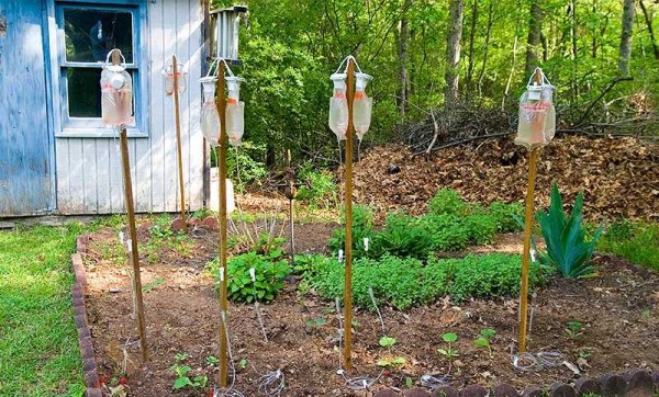 Déchets en revenus - l'arrosage des jeunes plantes est fourni