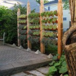 Très peu d'espace, et lorsque les plantes pousseront, elles seront magnifiques