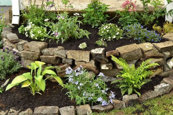 Un parterre de fleurs à deux niveaux près du mur de la maison. L'eau du drain lors de fortes pluies peut éroder le sol, il vaut donc la peine de la pousser plus loin ou sur le côté