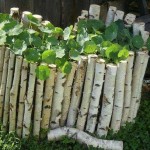 Bois de bouleau - une excellente clôture pour un jardin fleuri