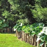 Les moitiés de bûches peuvent également être pliées en une clôture pour un jardin fleuri surélevé