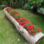 Même une vieille bûche peut être transformée en jardin fleuri