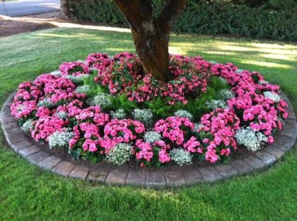 Ceci est un parterre de fleurs. Il a une forme claire et strictement définie et des plantes géométriquement correctes