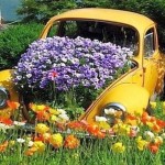 Une vieille voiture n'a pas besoin de place dans une casse ...