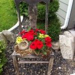Une chaise qui pèle et qui se tient comme un support de fleurs