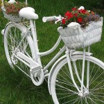 Le vélo est irréparable - peignez-le et plantez des fleurs. Peu de gens ont un tel lit de chalet d'été (l'essentiel est de ne pas être mis au rebut)