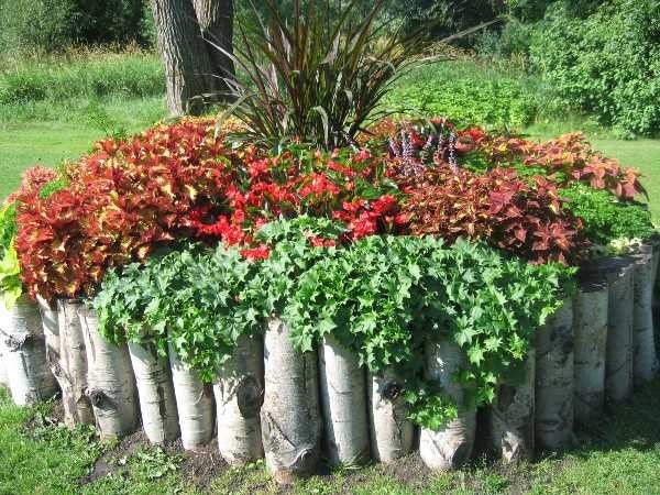 Ce n'est pas vraiment un arbre, bien sûr, mais l'idée est claire. Ces parterres de fleurs de jardin sont parfaits pour les plantes qui aiment l'ombre.