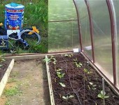 Le kit d'irrigation goutte à goutte AquaDusya est idéal pour une utilisation dans les petites serres, il fonctionne également avec des lits ouverts
