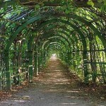 L'arche pour les raisins est également une pergola, uniquement avec une forme modifiée de la partie supérieure