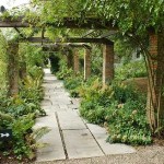 Colonnes puissantes enroulées autour des lianes - jardin protégé