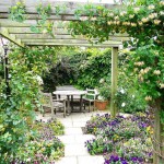 Chèvrefeuille en fleurs sur une arche de pergola