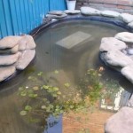De ce côté, juste en dessous du niveau maximum, un tuyau a été coupé dans le bol pour que l'excès d'eau s'écoule. Elle a été descendue à l'égout
