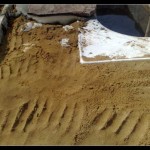Un peu de sable a été versé sur le dessus et la pose de pierre a commencé