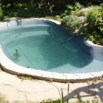 Pour le test, il a été rempli d'eau, laissé pendant une semaine. Il n'y a aucune fuite nulle part. Fusion, finition terminée et peuplée de poisson