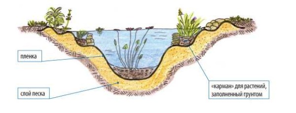 Comment faire correctement le fond des plantes. La disposition de l'étang sera plus facile si vous faites des rebords à différents niveaux, étalez des pierres, versez un peu de terre dedans