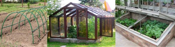 Constructions de serres et serres