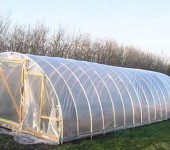 Cette serre sur arches en tuyaux en PVC est assemblée par une personne de ses propres mains en 3-4 heures
