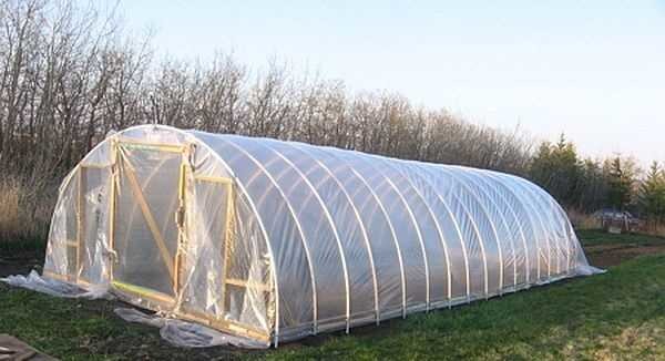 Cette serre sur arches en tuyaux en PVC est assemblée par une personne de ses propres mains en 3-4 heures