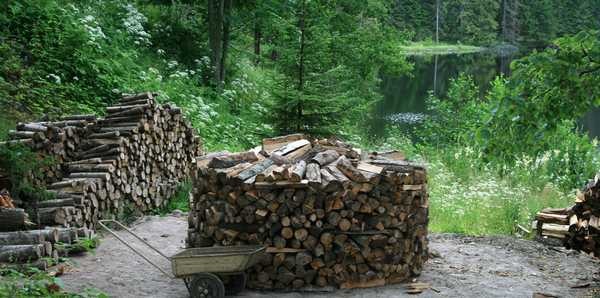 Pieux de bois ronds pour sécher le bois de chauffage