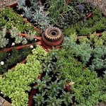 Vous pouvez même fabriquer de beaux lits à faire soi-même à partir d'une vieille roue. Une collection d'herbes aromatiques a été plantée ici - c'est un jardin parfumé, et vous pouvez également en faire un similaire épicé - avec des plantes épicées