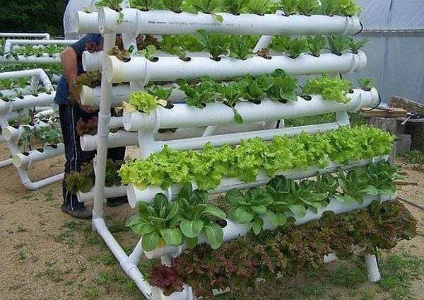 Un lit de verdure à partir de tuyaux en plastique