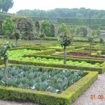 Des lits de forme claire, leurs bordures sont marquées par des plantations en bordure