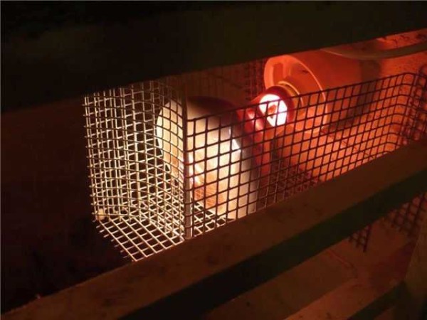 Lampe chauffante IR dans un boîtier en maille