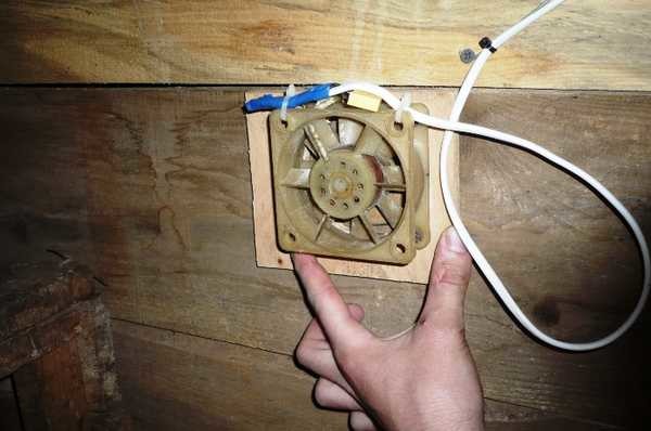 Fan dans le poulailler