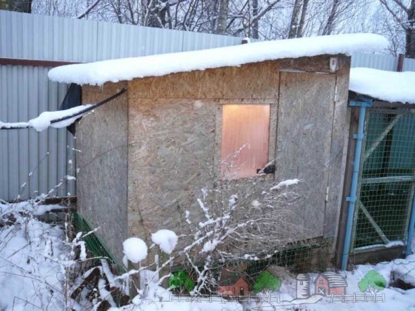 Un hangar chaud pour les poulets et l'éclairage sont importants pour leur bien-être normal.