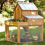 Une option pour ceux qui ont une petite parcelle: 5 à 10 poulets peuvent être fabriqués facilement