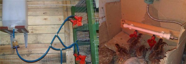 Options d'installation pour les bols à boire