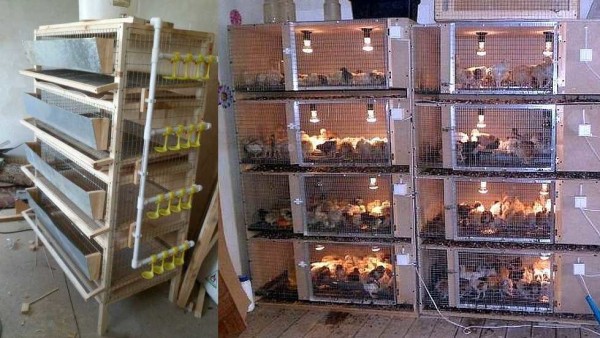 Cages de pose
