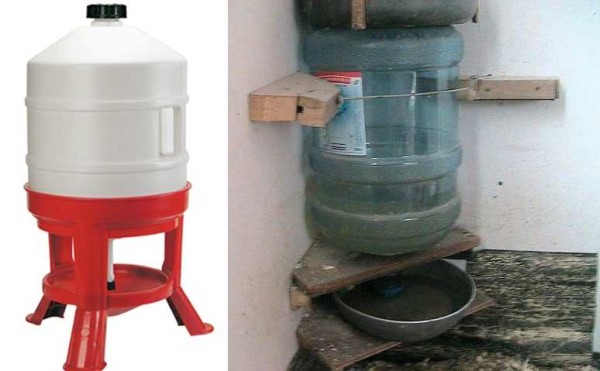Abreuvoirs à siphon - usine et fait maison à partir d'une bouteille en plastique