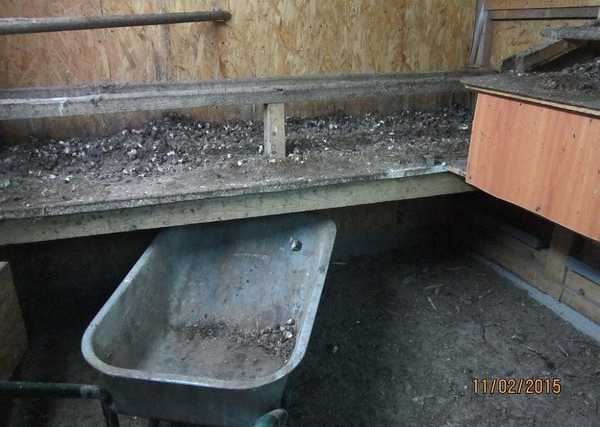 Disposition du poulailler
