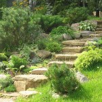Sur une petite pente, il peut y avoir assez de plantation, si vous êtes, bien sûr, le jardin sur la pente convient