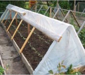 Serre triangulaire en planches