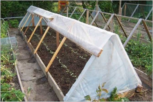 Serre triangulaire en planches