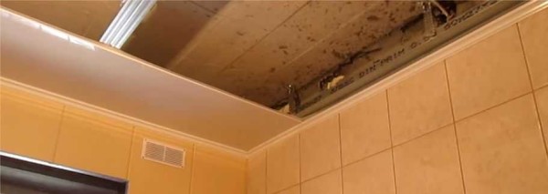 Installation de la première bande de panneaux en plastique au plafond