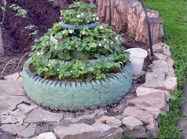 Les pneus avec des bords coupés peuvent être utilisés pour faire un grand lit de fraises