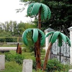 Les palmiers extravagants deviennent verts même en hiver