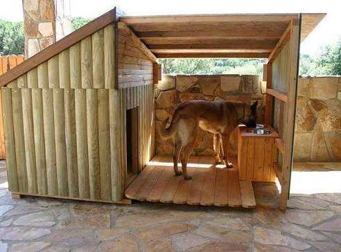 Lors de la construction d'un stand, vous devez vous concentrer sur la taille du chien